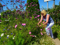 Join the fun at Grow for Talgarth's Big Garden Weekend