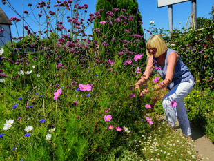 Join the fun at Grow for Talgarth's Big Garden Weekend