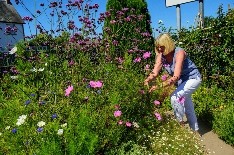 Grow for Talgarth