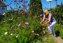 Join the fun at Grow for Talgarth's Big Garden Weekend