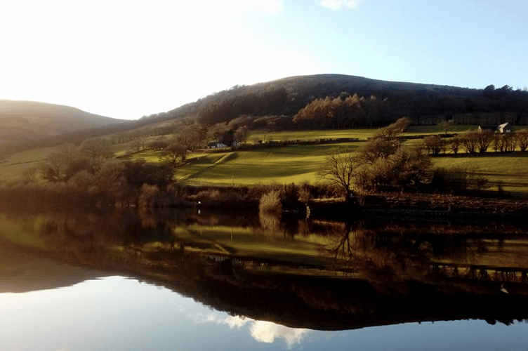 Reflection PT