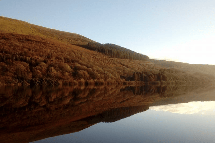 Reflection PT