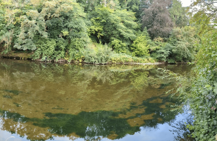 Reflection PT