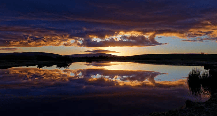 Reflection PT