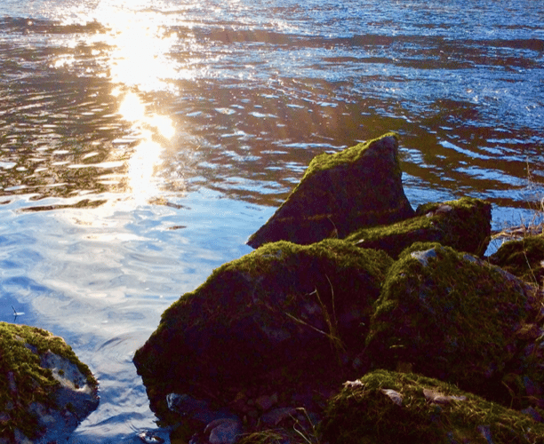 Reflection PT
