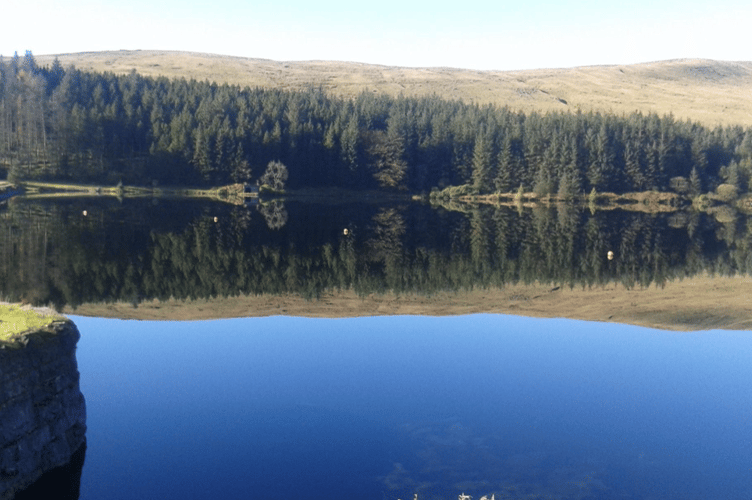 Reflection PT.