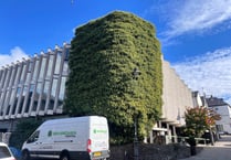 Calls grow to protect ivy ecosystem at former library