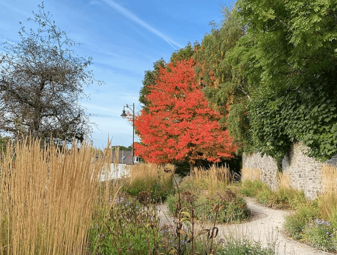 Autumn