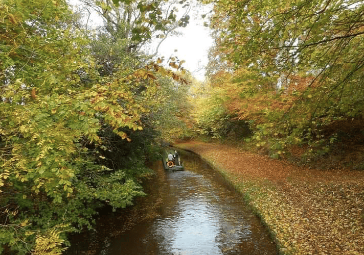 Autumn.