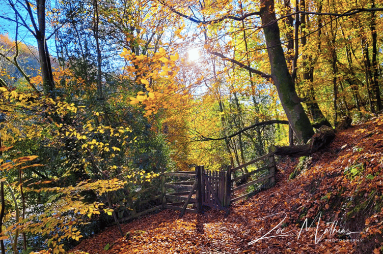 Autumn