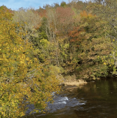 Autumn.