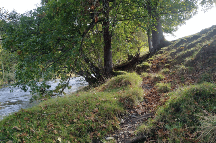 Autumn.