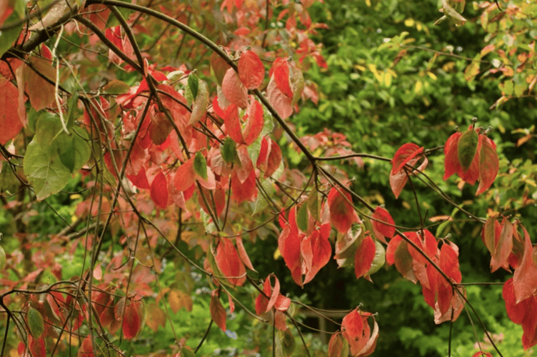 Autumn.