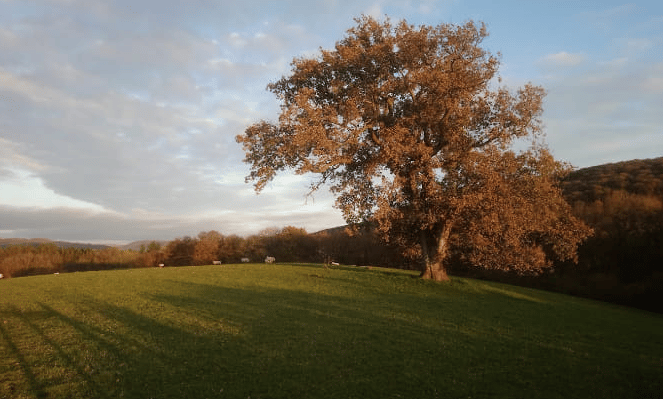 Autumn.