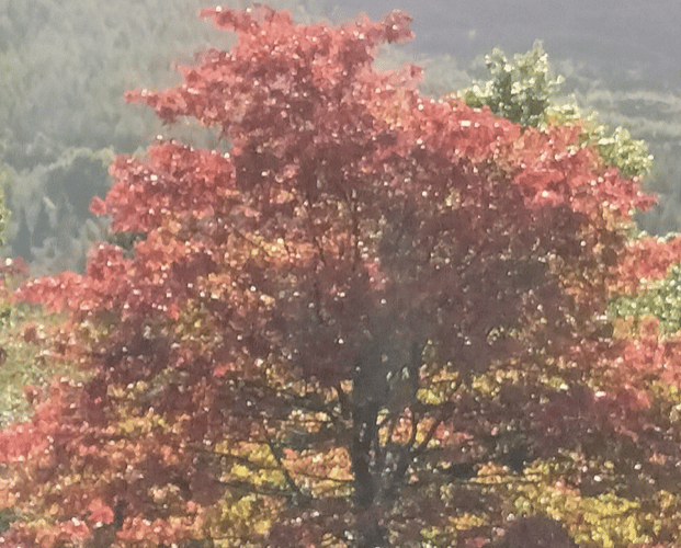 Autumn.