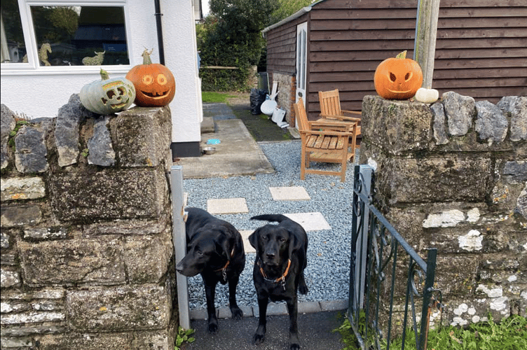 Halloween PT
