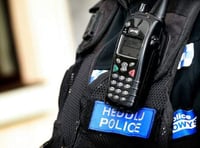 Man arrested after spate of garden thefts in Rhayader