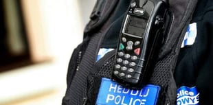 Man arrested after spate of garden thefts in Rhayader