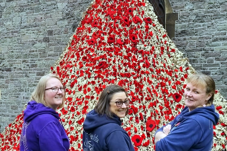 Poppy display in Brecon