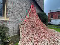 Remembrance Day plans in Brecon