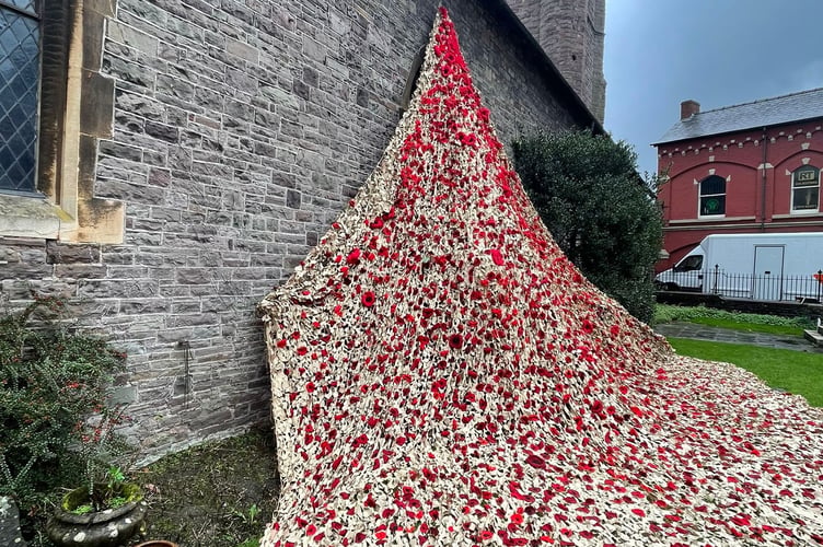 Poppy display