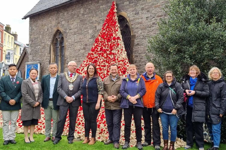Poppy display Brecon