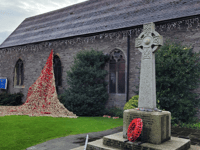 Picture this: Remembrance Day 