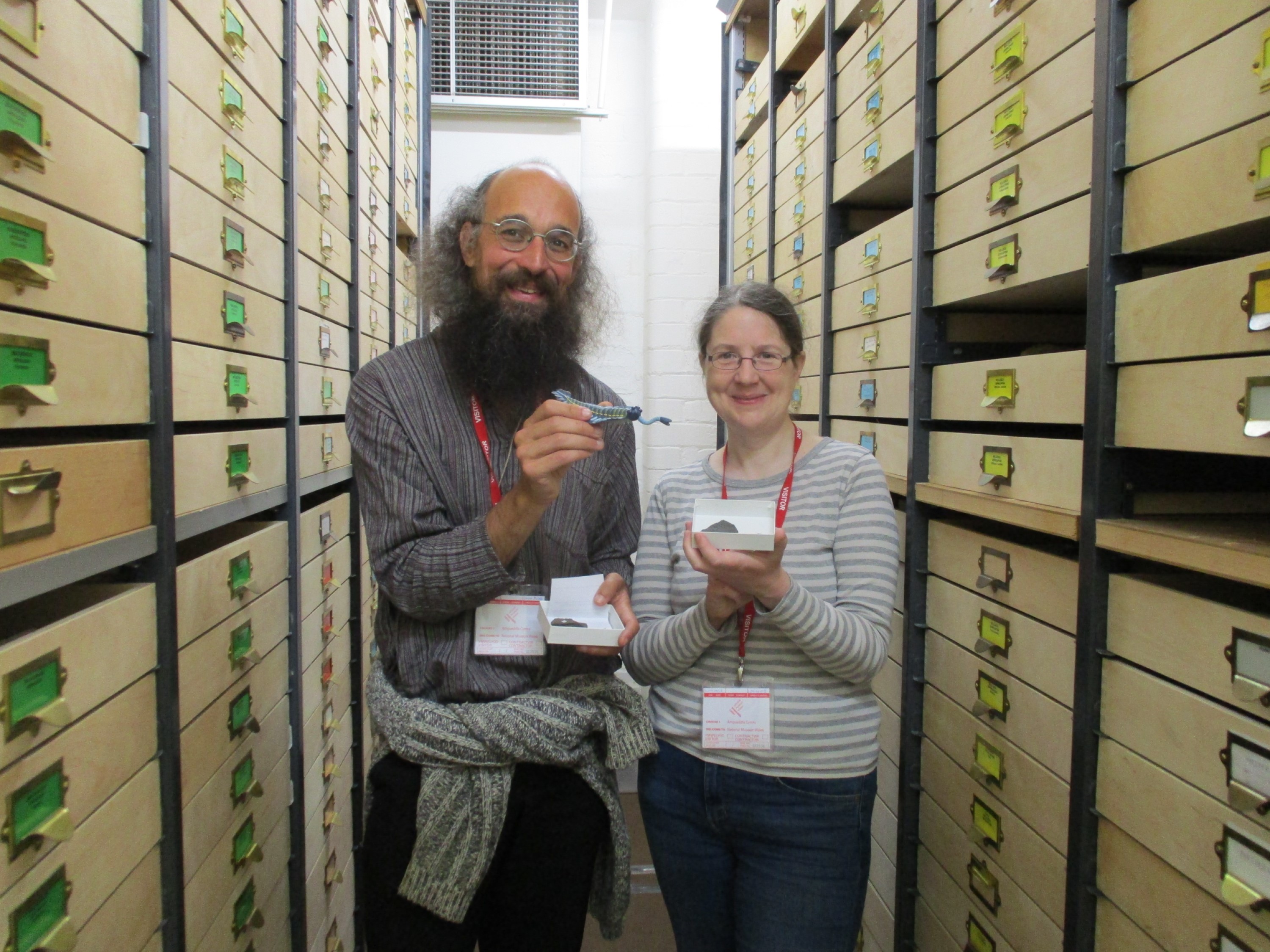 Dinosaurs remains and local fossils on show at local museum