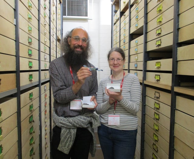 Dinosaurs remains and local fossils on show at local museum