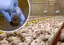 People could become ‘gravely ill’ from Wye superbugs, says MP