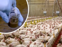 People could become ‘gravely ill’ from Wye superbugs, says MP