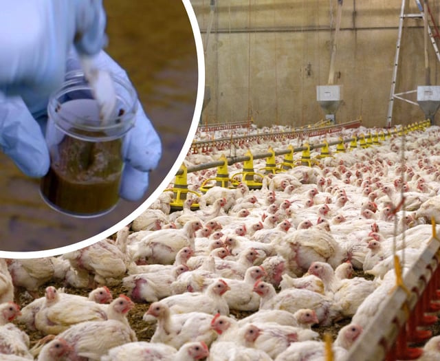 People could become ‘gravely ill’ from Wye superbugs, says MP