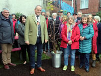 Jubilee tree gifted to Powys library