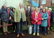 Jubilee tree gifted to Powys library