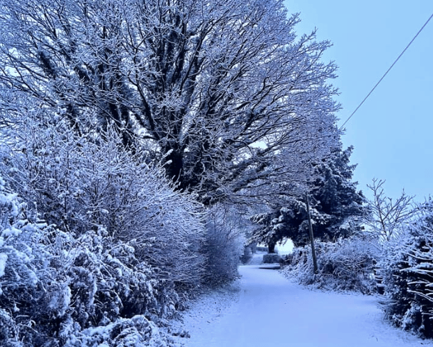 winter