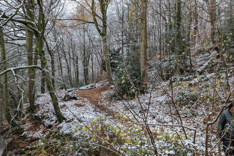 winter