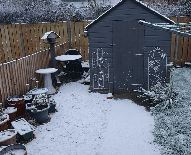 Snow