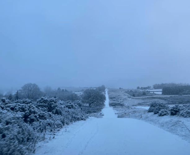 Snow