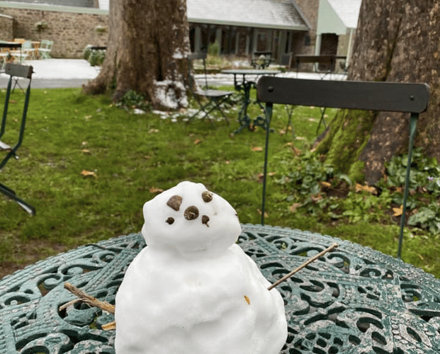Snow
