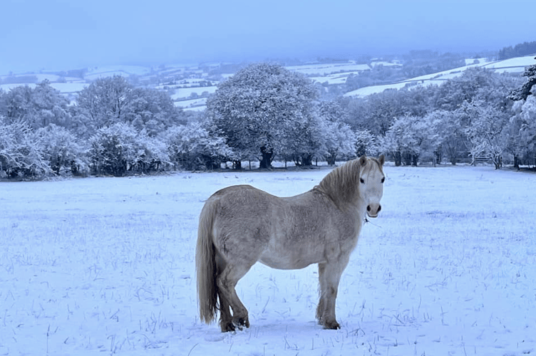 Snow