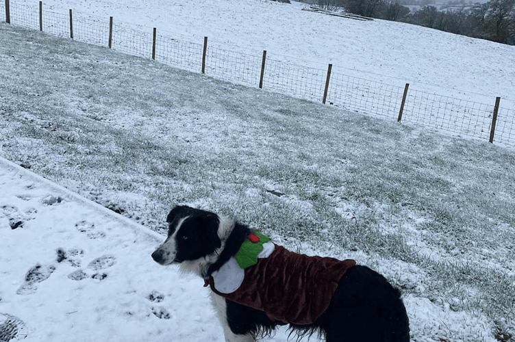 Snow