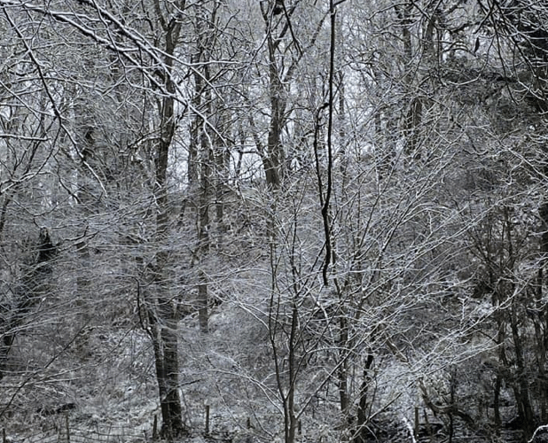 Snow