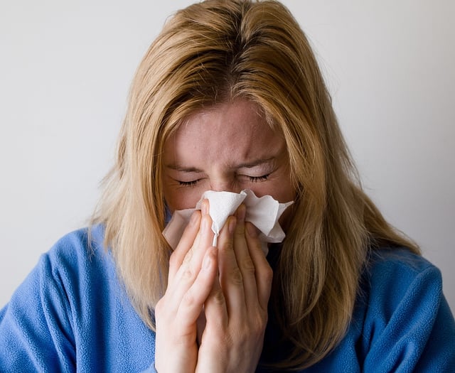 Get your flu vaccine as Christmas highs expected