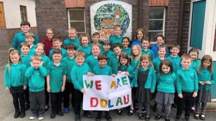 Dolau School Action Group
