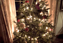 Picture This: Christmas photographs!