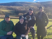Gigrin Farm celebrates 30 years of red kite conservation