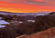 Picture This: Your Winter photographs!