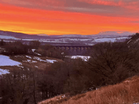 Picture This: Your Winter photographs!