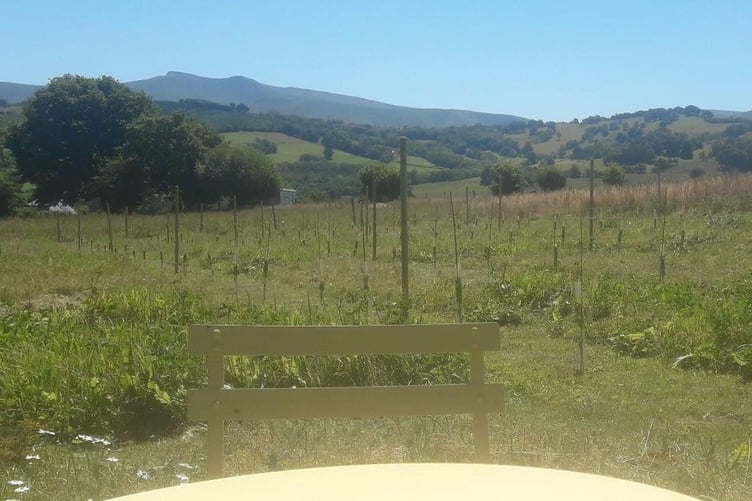 Le Prevost Vineyard