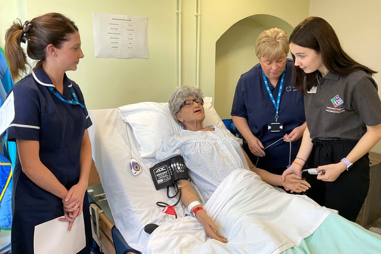 Powys Nursing Academy